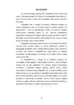 Konspekts 'Energoefektivitātes dokumentu normas', 13.