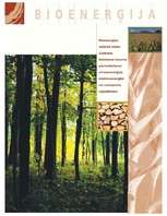 Referāts 'Bioenerģija', 1.