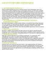 Referāts 'Bioenerģija', 3.