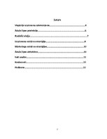 Referāts 'Uzņēmums "Ādažu čipsi"', 2.