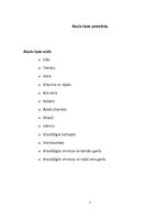 Referāts 'Uzņēmums "Ādažu čipsi"', 7.