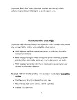 Referāts 'Uzņēmums "Ādažu čipsi"', 9.