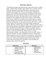 Referāts 'Uzņēmums "Ādažu čipsi"', 12.