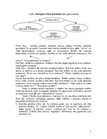 Referāts 'Pieaugušo attīstības un mācīšanās modeļi mūžizglītības kontekstā', 7.