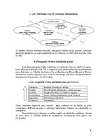 Referāts 'Pieaugušo attīstības un mācīšanās modeļi mūžizglītības kontekstā', 9.