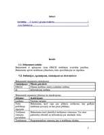 Referāts 'Informācijas sistēmas testēšanas koncepcija', 2.