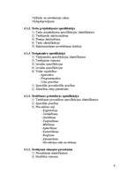 Referāts 'Informācijas sistēmas testēšanas koncepcija', 5.