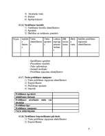 Referāts 'Informācijas sistēmas testēšanas koncepcija', 6.