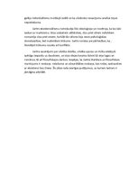 Referāts 'Eksistenciālisms', 8.