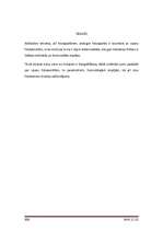 Referāts 'Ciparu fotokameras', 4.