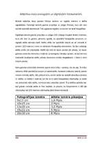 Referāts 'Ciparu fotokameras', 7.