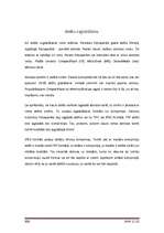 Referāts 'Ciparu fotokameras', 8.