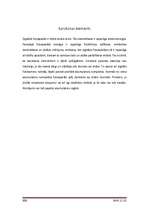 Referāts 'Ciparu fotokameras', 9.