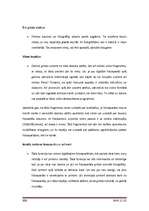 Referāts 'Ciparu fotokameras', 11.