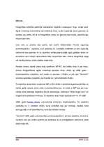 Referāts 'Ciparu fotokameras', 19.