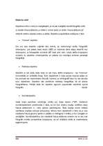 Referāts 'Ciparu fotokameras', 21.