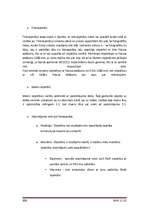 Referāts 'Ciparu fotokameras', 22.