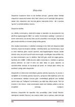 Referāts 'Ciparu fotokameras', 23.