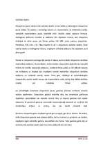 Referāts 'Ciparu fotokameras', 25.