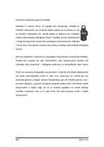 Referāts 'Ciparu fotokameras', 26.