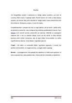 Referāts 'Ciparu fotokameras', 30.