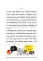 Referāts 'Ciparu fotokameras', 31.