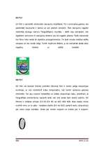 Referāts 'Ciparu fotokameras', 32.