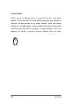 Referāts 'Ciparu fotokameras', 33.