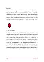 Referāts 'Ciparu fotokameras', 36.