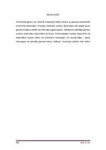 Referāts 'Ciparu fotokameras', 38.