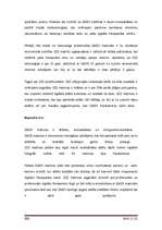 Referāts 'Ciparu fotokameras', 46.