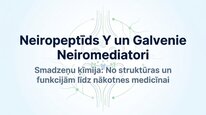 Prezentācija 'Neiropeptīds Y un galvenie neiromediatori', 1.