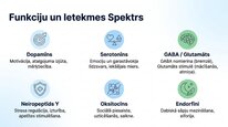 Prezentācija 'Neiropeptīds Y un galvenie neiromediatori', 6.