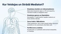 Prezentācija 'Neiropeptīds Y un galvenie neiromediatori', 7.