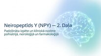 Prezentācija 'Neiropeptīds Y un galvenie neiromediatori', 13.