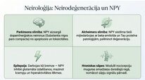 Prezentācija 'Neiropeptīds Y un galvenie neiromediatori', 16.