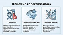 Prezentācija 'Neiropeptīds Y un galvenie neiromediatori', 21.