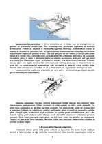 Referāts 'Šķidro notekūdeņu utilizācija', 3.