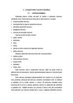 Referāts 'Atkritumi kā viena no galvenajām vides problēmām', 4.