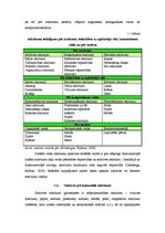 Referāts 'Atkritumi kā viena no galvenajām vides problēmām', 5.