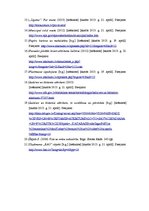 Referāts 'Atkritumi kā viena no galvenajām vides problēmām', 21.