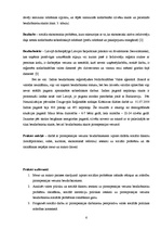 Prakses atskaite 'Sociālais darbs ar pirmspensijas bezdarbniekiem', 6.