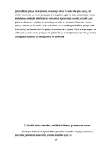 Prakses atskaite 'Sociālais darbs ar pirmspensijas bezdarbniekiem', 19.