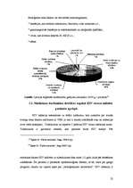 Referāts 'Darba drošība un arodveselība', 22.