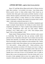 Referāts '90. gadu dzejnieki un dzeja', 16.