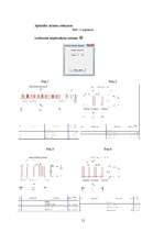 Referāts 'Dzelzsbetona konstrukciju aprēķins datorprogrammās Lira un Monomax', 21.