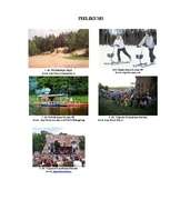 Referāts 'Igaunijas apriņķa Viljandes tūrisma resursu analīze', 9.