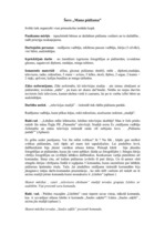 Konspekts 'Scenārijs', 1.