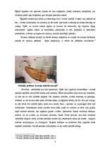 Referāts 'Medicīna Senajā Ēģiptē', 6.