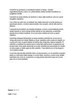 Prakses atskaite 'Deviņi stundu plāni pedagoģiskās prakses dienasgrāmatai', 33.